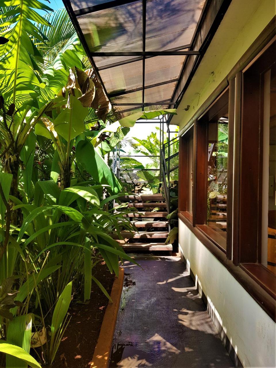 Si Mi Capitán - Cabañas&habitaciones Hotel económico Puerto Iguazú